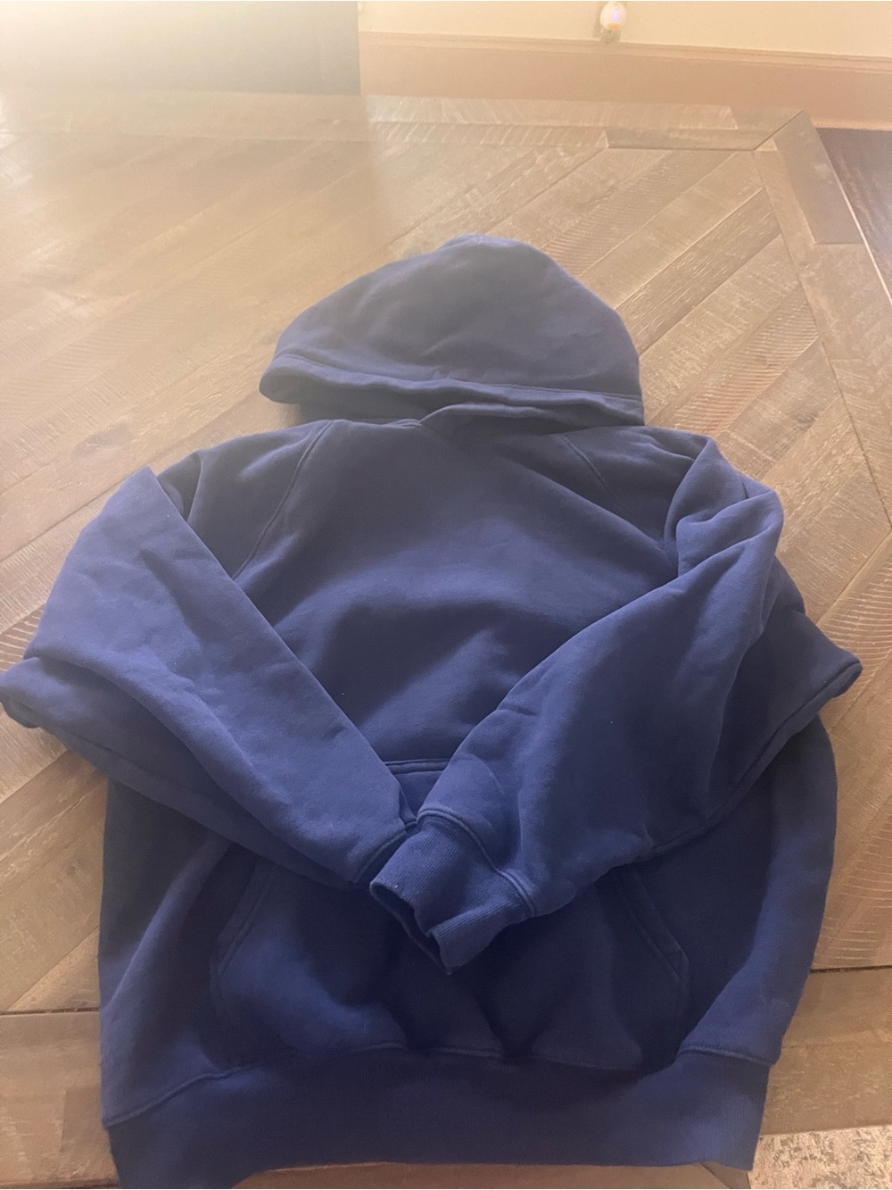 Aritzia Navy Blue Hooded Sweatshirt